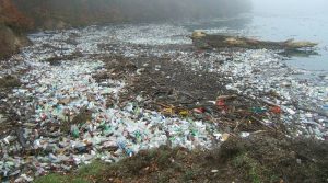plaża zanieczyszczona plastikiem